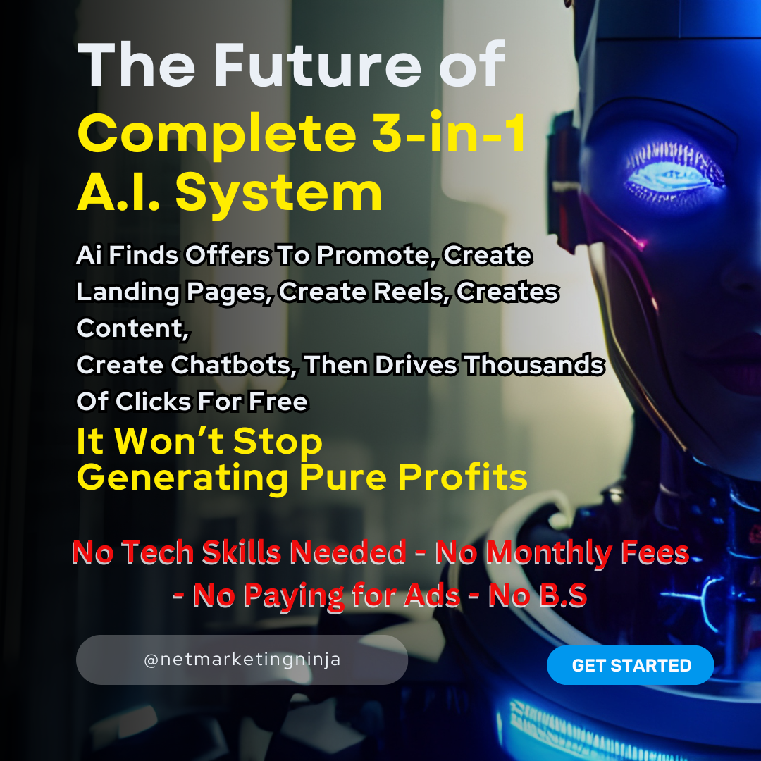 netmarketingninja web pics (3)